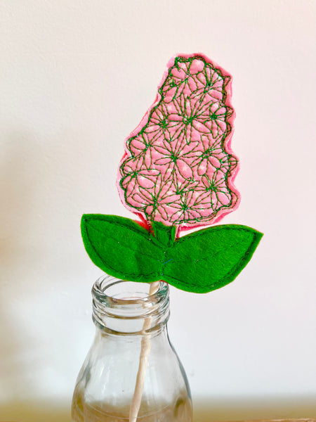 Hyacinth